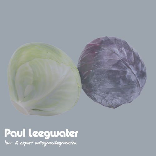 Paul Leegwater